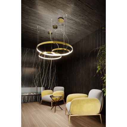 Thoro TH.246 - LED Chandelier on a string RIO LED/50W/230V CRI 90 3000K d. 78 cm gold
