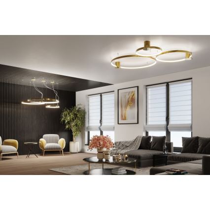 Thoro TH.246 - LED Chandelier on a string RIO LED/50W/230V CRI 90 3000K d. 78 cm gold