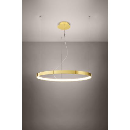 Thoro TH.246 - LED Chandelier on a string RIO LED/50W/230V CRI 90 3000K d. 78 cm gold
