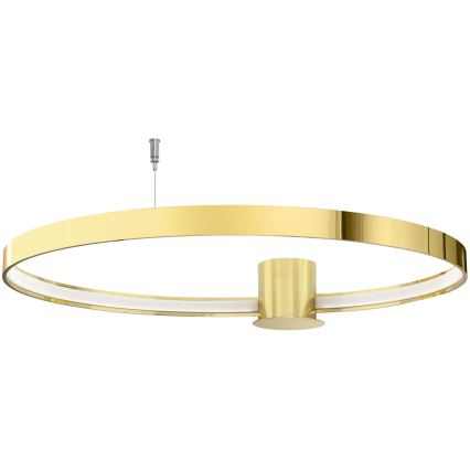 Thoro TH.252 - LED Ceiling light RIO LED/50W/230V CRI 90 3000K d. 78 cm gold
