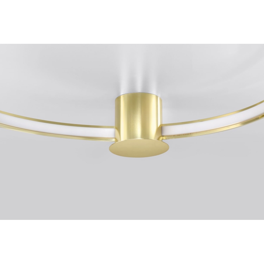 Thoro TH.252 - LED Ceiling light RIO LED/50W/230V CRI 90 3000K d. 78 cm gold