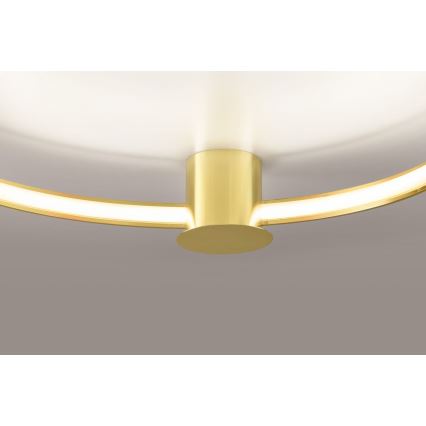 Thoro TH.252 - LED Ceiling light RIO LED/50W/230V CRI 90 3000K d. 78 cm gold