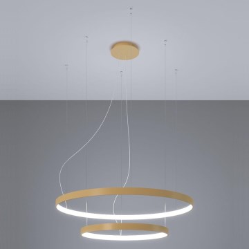 Thoro TH.268 - LED Chandelier on a string RIO LED/80W/230V CRI 95 4000K gold