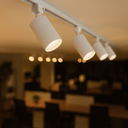 TIGER 1-Phase Track Spotlight 1x GU10/10W/230V, White