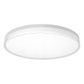 Top Light - Dimmable LED Bathroom Ceiling Light NEXUS LED/55W/230V 3000-6500K IP44 Ø 48 cm white + remote control