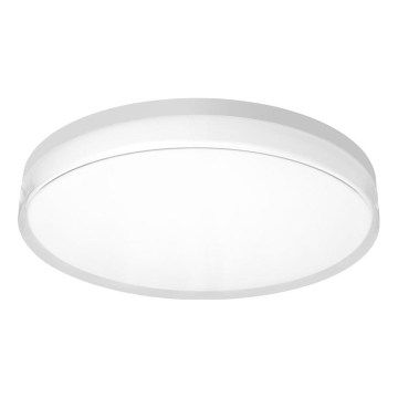 Top Light - LED bathroom ceiling light NEXUS LED/24W/230V 3000/4000/6500K IP44 Ø 28 cm white