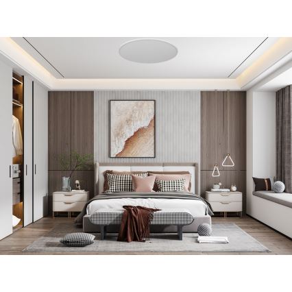 Top Light - LED Ceiling light REVIT LED/24W/230V 3000/4000/6500K d. 30 cm white