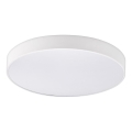 Top Light - LED Dimmable bathroom ceiling light PETAL LED/48W/230V IP44 3000-6500K d. 48 cm white + remote control