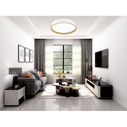 Top Light - LED Dimmable ceiling light DEKOR LED/51W/230V d. 50 cm 3000-6500K + remote control