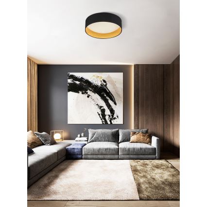 Top Light - LED Dimmable ceiling light IVONA 40C RC LED/24W/230V + remote control black