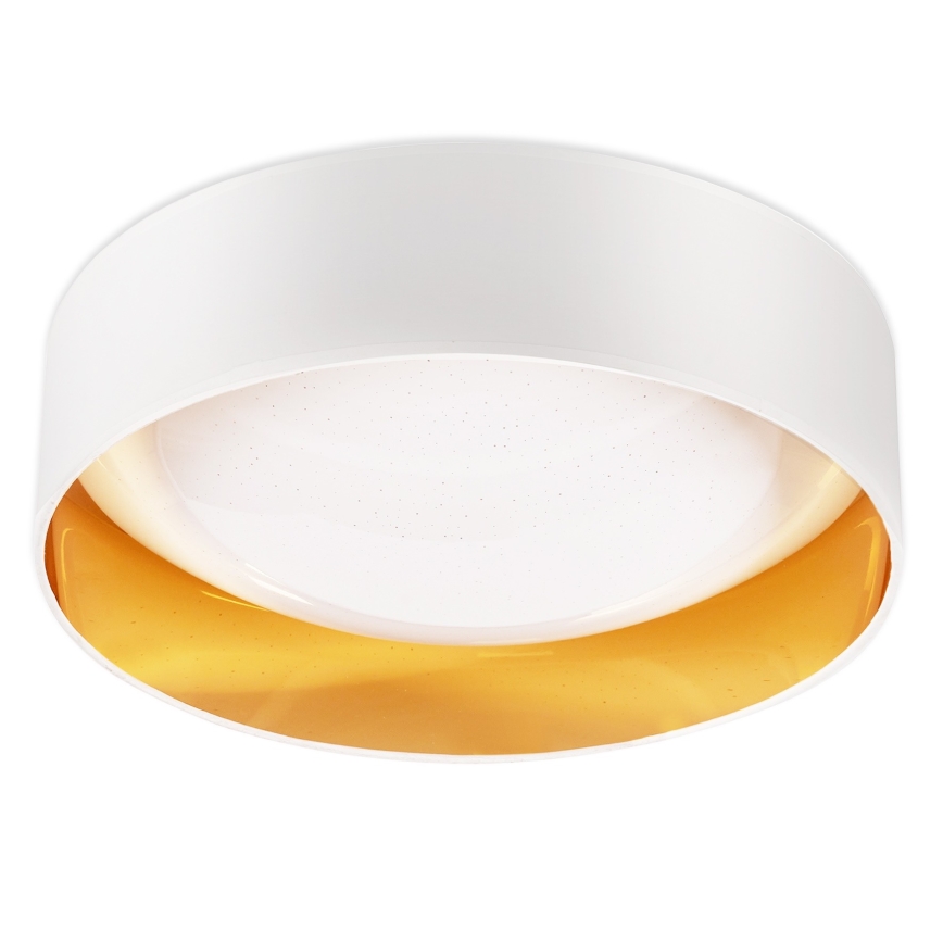 Top Light - LED Dimmable ceiling light IVONA 40B RC LED/24W/230V + remote control white