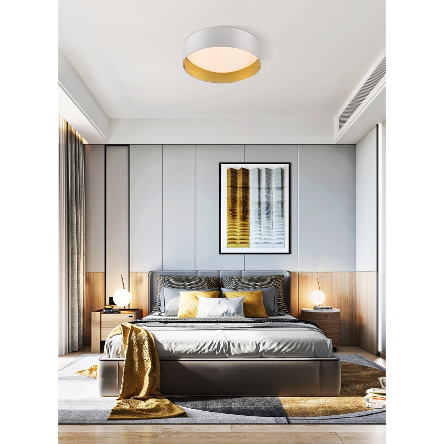 Top Light - LED Dimmable ceiling light IVONA 40B RC LED/24W/230V + remote control white