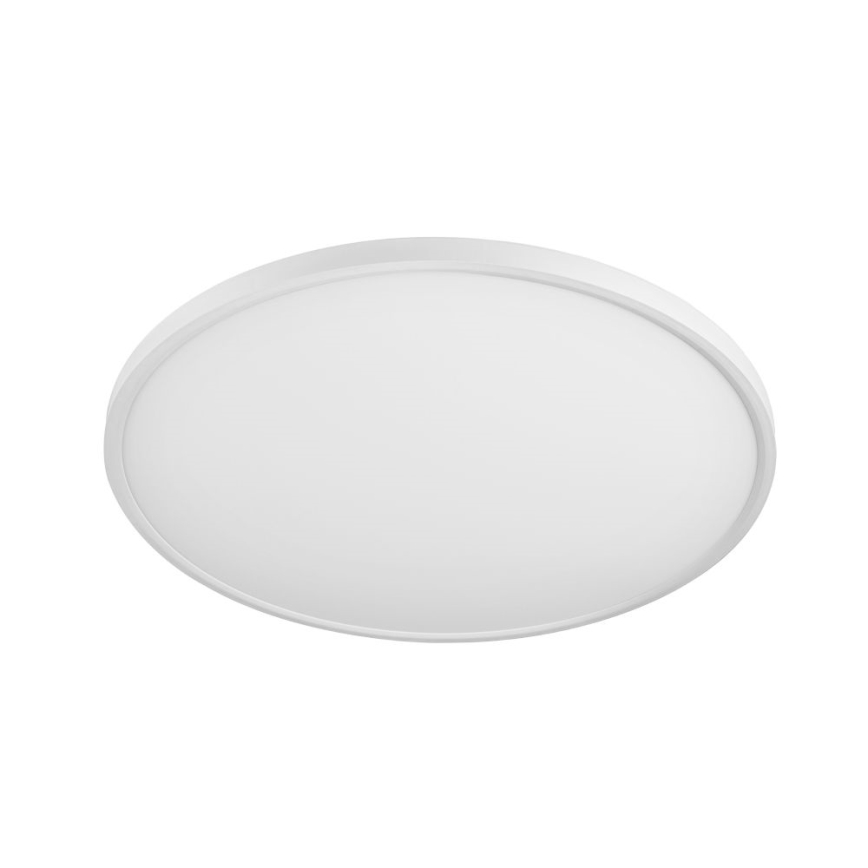 Top Light - LED Dimmable ceiling light REVIT LED/50W/230V 3000-6500K + remote control