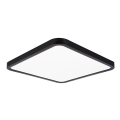 Top Light - LED Dimmable ceiling light REVIT LED/36W/230V 3000-6500K 40x40 cm black + remote control