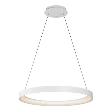 Top Light - LED Dimmable chandelier on a string ORBIT LED/40W/230V 3000-6500K d. 50 cm white + remote control