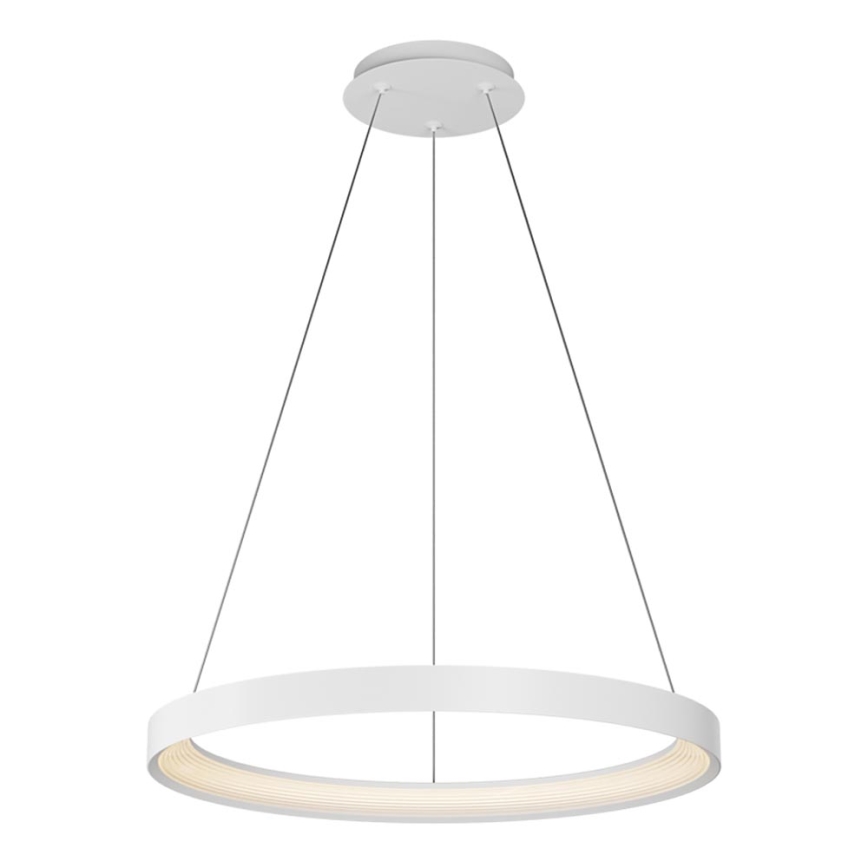 Top Light - LED Dimmable chandelier on a string ORBIT LED/40W/230V 3000-6500K d. 50 cm white + remote control