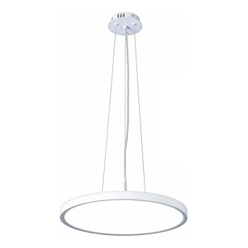 Top Light - LED Dimmable chandelier on a string REVIT LED/36W/230V 3000-6500K d. 40 cm white + remote control