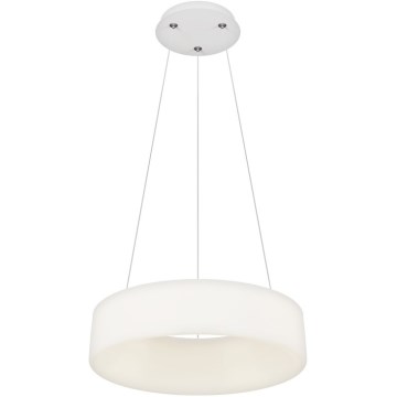 Top Light - LED Dimmable pendant lamp HALO LED/40W/230V 3000-6500K diameter 44 cm + remote control