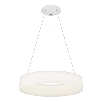 Top Light - LED Dimmable Pendant Light HALO LED/60W/230V 3000-6500K 60 cm + Remote Control