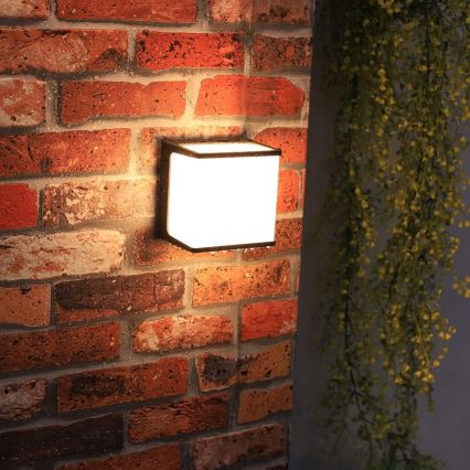 Top Light - LED Outdoor wall light BLOCK LED/8W/230V IP65 4000K