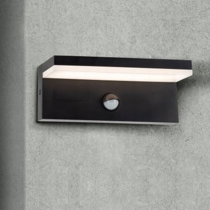 Top Light - LED Outdoor wall light with a sensor ELON LED/10W/230V 4000K IP54