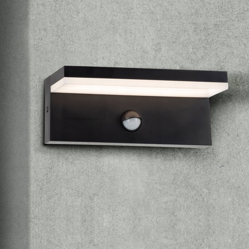 Top Light - LED Outdoor wall light with a sensor ELON LED/10W/230V 4000K IP54