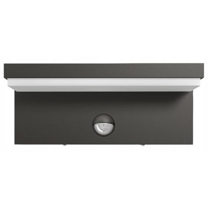 Top Light - LED Outdoor wall light with a sensor ELON LED/10W/230V 4000K IP54