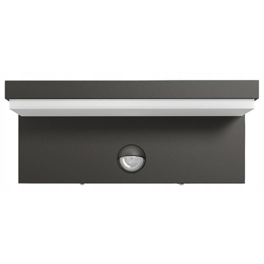 Top Light - LED Outdoor wall light with a sensor ELON LED/10W/230V 4000K IP54
