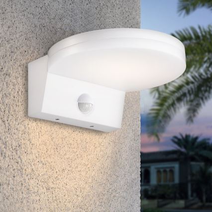 Top Light - LED Outdoor wall light with a sensor NOVARA LED/15W/230V IP65 white