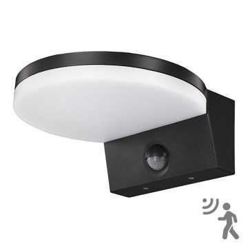 Top Light - LED Outdoor wall light with a sensor NOVARA LED/15W/230V IP65 black