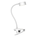 Top Light - LED Touch Dimmable Table Lamp with Clip BELLA LED/4.8W/5V 3000-6500K White