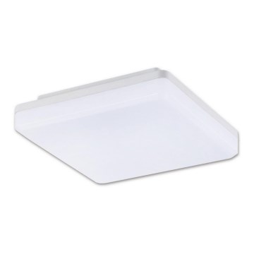 Top Light Leon H - LED Outdoor ceiling light LEON LED/15W/230V IP44