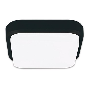 Top Light Mango H - LED Outdoor ceiling light MANGO LED/18W/230V IP54