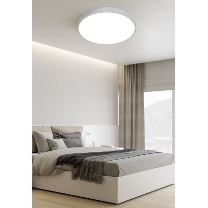 Top Light Metal 40B - LED Ceiling light METAL LED/36W/230V