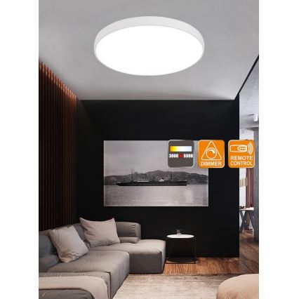 Top Light Metal 60B RC - LED Dimmable ceiling light with remote control METAL LED/60W/230V