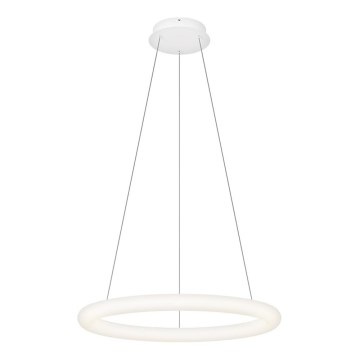 Top Light - RINGO Dimmable LED Cable Pendant LED/40W/230V 3000-6500K White + Remote Control