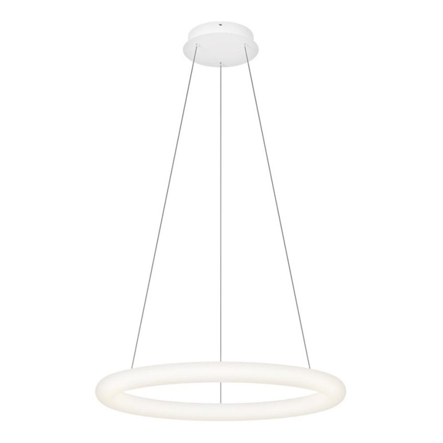 Top Light - RINGO Dimmable LED Cable Pendant LED/40W/230V 3000-6500K White + Remote Control