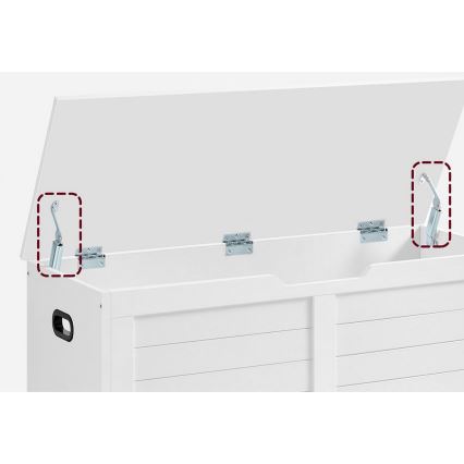 TOVIAN Storage Chest 100 x 46 x 40 cm, White