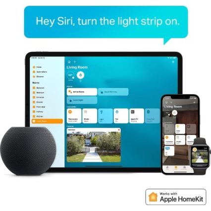 TP-Link - LED RGBW Dimmable Strip 5 m LED/13W/230V Wi-Fi