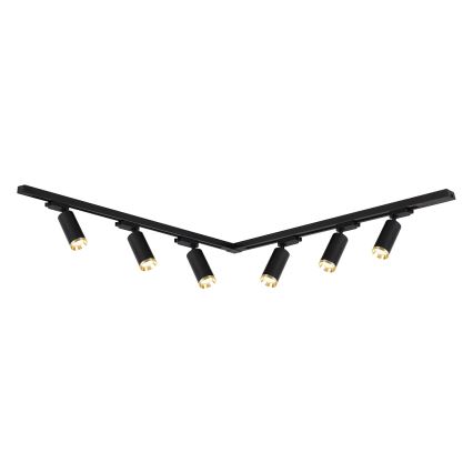 Track-mounted spotlight MICA 6xGU10/10W/230V black/gold