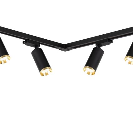 Track-mounted spotlight MICA 6xGU10/10W/230V black/gold