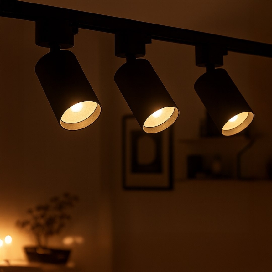 Track spotlight for 1-phase rail system TIGER 1xGU10/10W/230V black