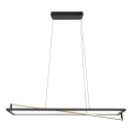 Trio - EDGE Dimmable LED Cable Pendant, 35W, 230V, 2300/3000/4000K, Black/Gold