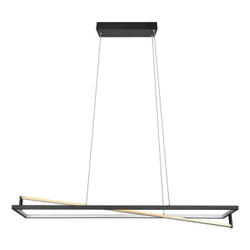 Trio - EDGE Dimmable LED Cable Pendant, 35W, 230V, 2300/3000/4000K, Black/Gold