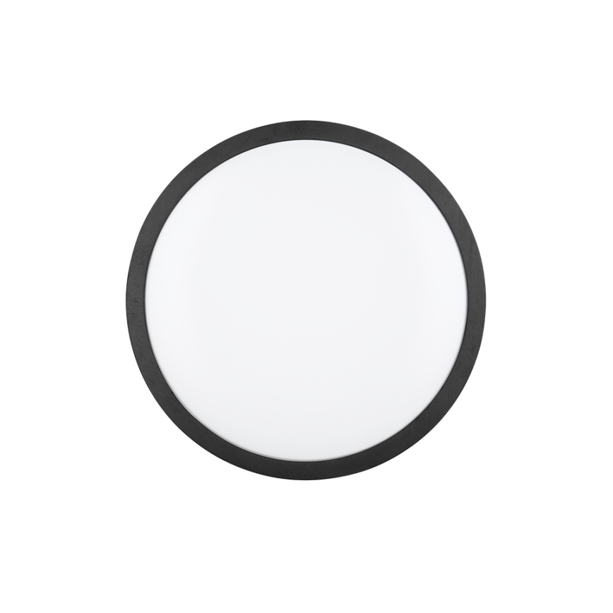 Trio - ISEO Dimmable LED Ceiling Light, 24W/230V, 3000K, Ø 40 cm, Black