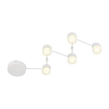 Trio - LED Dimmable ceiling light NASHVILLE 5xLED/3W/230V