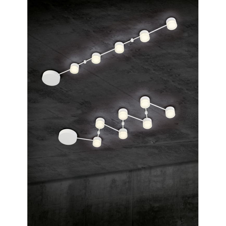 Trio - LED Dimmable ceiling light NASHVILLE 5xLED/3W/230V