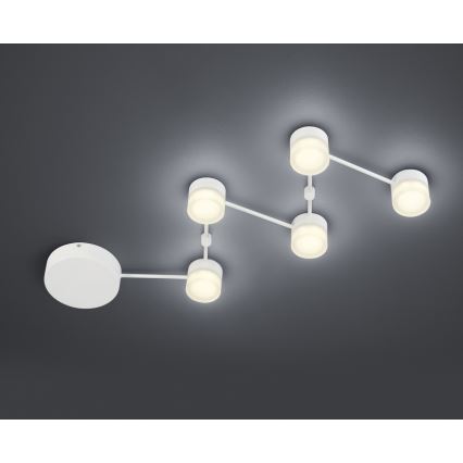 Trio - LED Dimmable ceiling light NASHVILLE 5xLED/3W/230V