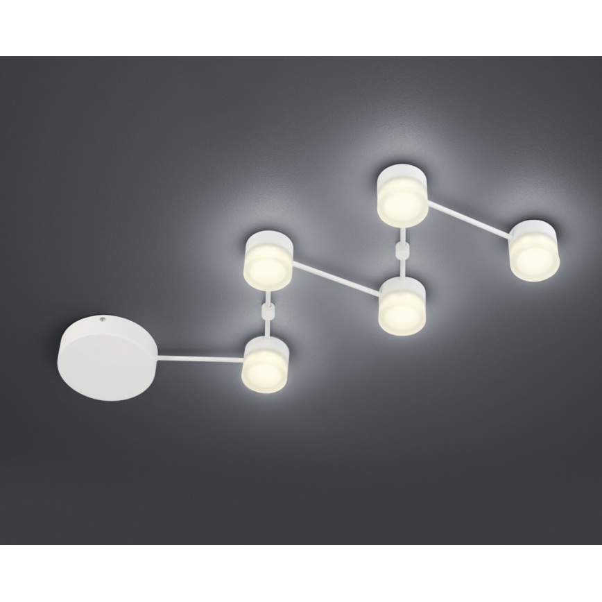 Trio - LED Dimmable ceiling light NASHVILLE 5xLED/3W/230V