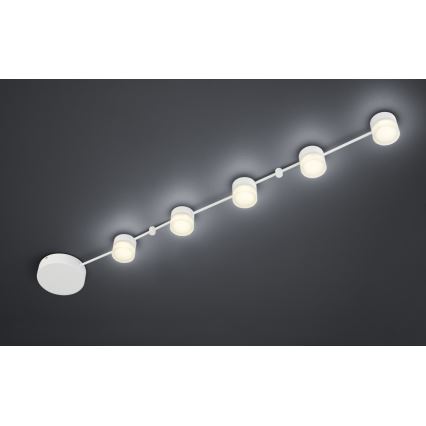 Trio - LED Dimmable ceiling light NASHVILLE 5xLED/3W/230V